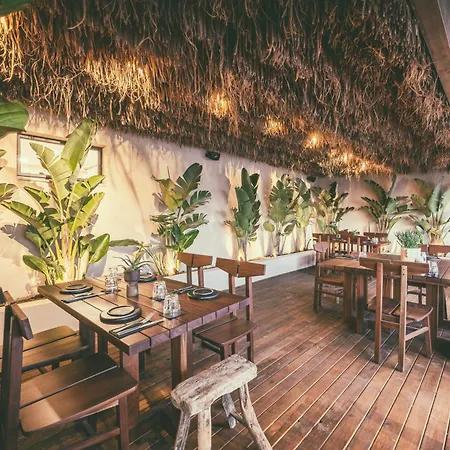 Ananea Meni Kos Ex Meni Tigaki